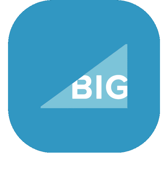 Big Commerce SEO